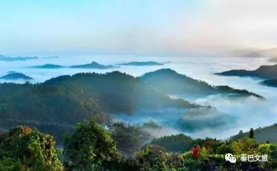 西安卖紫阳富硒茶的地方(陕西省紫阳富硒茶)-硒宝网