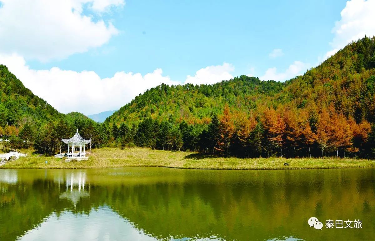 西安卖紫阳富硒茶的地方(陕西省紫阳富硒茶)-硒宝网