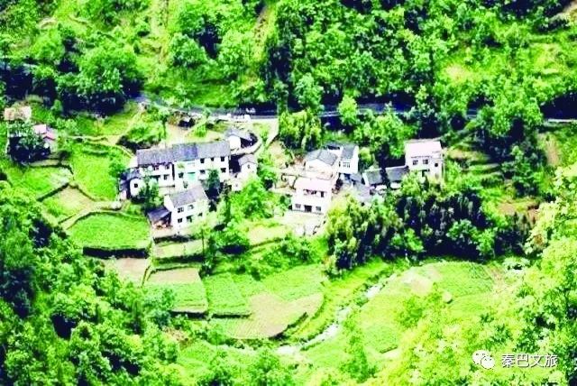 西安卖紫阳富硒茶的地方(陕西省紫阳富硒茶)-硒宝网