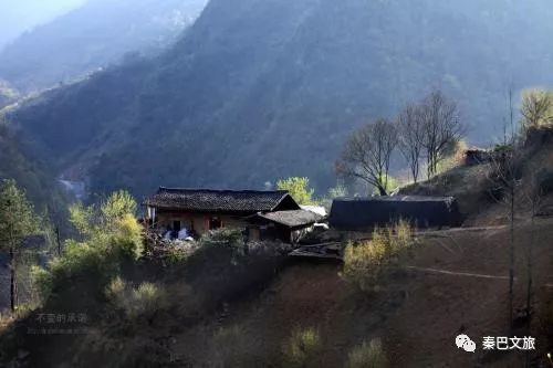 西安卖紫阳富硒茶的地方(陕西省紫阳富硒茶)-硒宝网