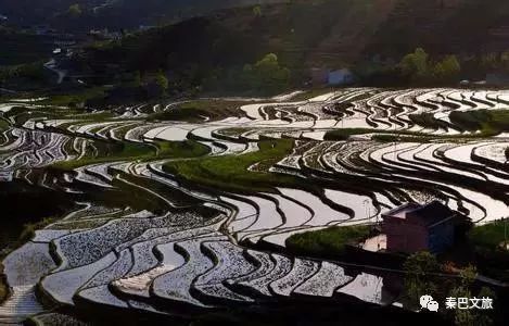 西安卖紫阳富硒茶的地方(陕西省紫阳富硒茶)-硒宝网