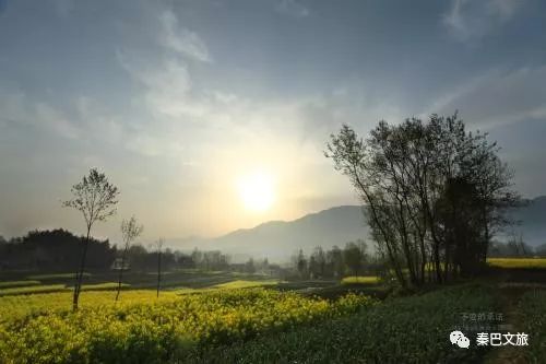 西安卖紫阳富硒茶的地方(陕西省紫阳富硒茶)-硒宝网