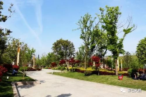 西安卖紫阳富硒茶的地方(陕西省紫阳富硒茶)-硒宝网