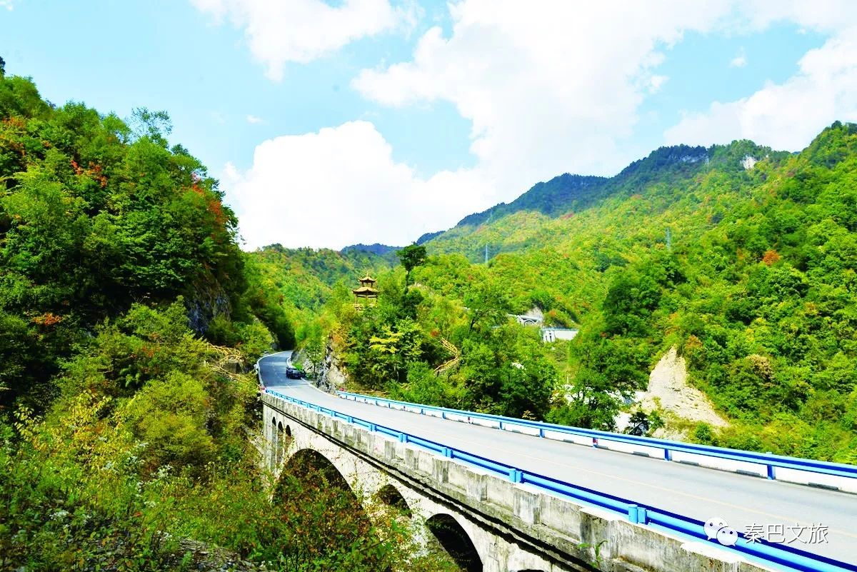 西安卖紫阳富硒茶的地方(陕西省紫阳富硒茶)-硒宝网