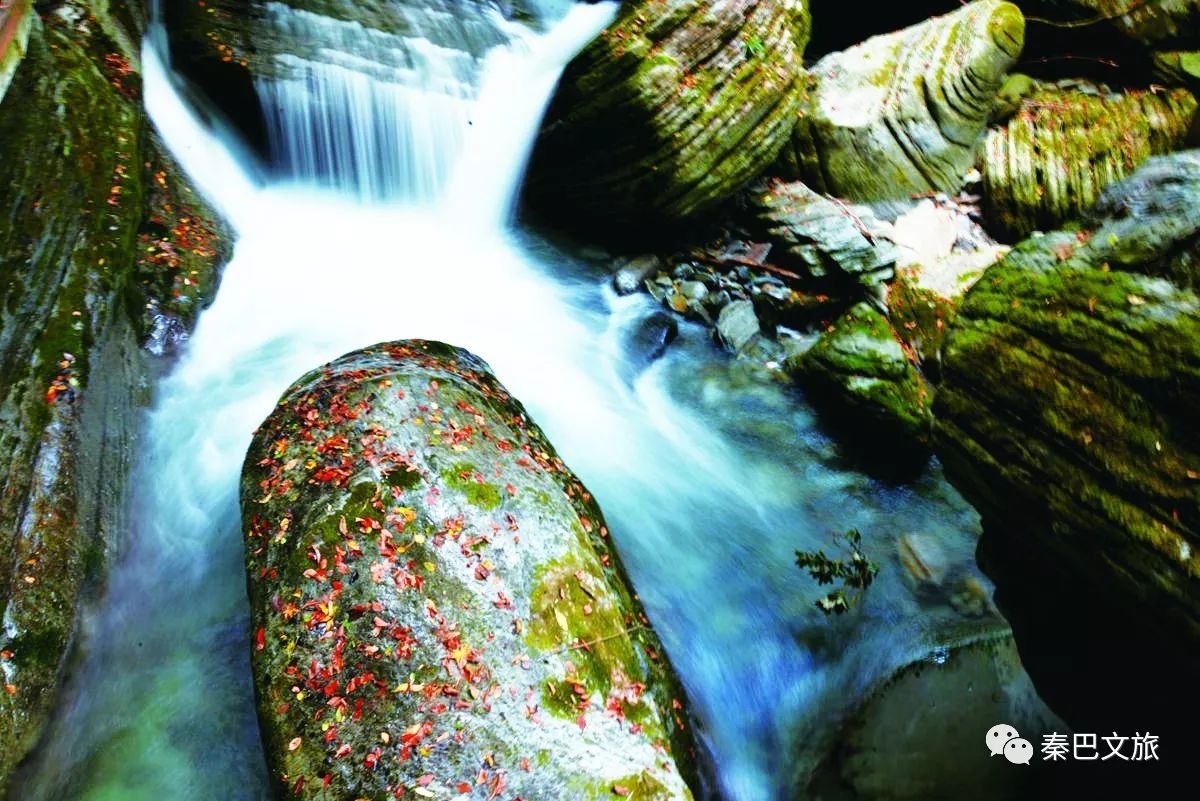 西安卖紫阳富硒茶的地方(陕西省紫阳富硒茶)-硒宝网