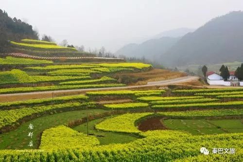 西安卖紫阳富硒茶的地方(陕西省紫阳富硒茶)-硒宝网