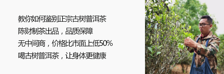 云南富硒普洱茶批发厂家(普洱富硒茶的价格)-硒宝网