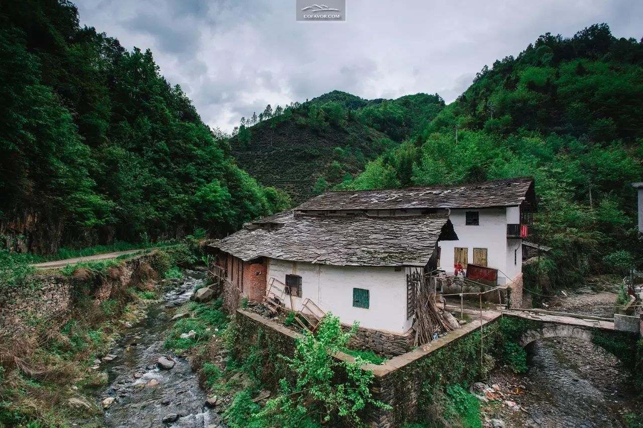 西安卖紫阳富硒茶的地方（陕西安康紫阳富硒茶的名气）-硒宝网