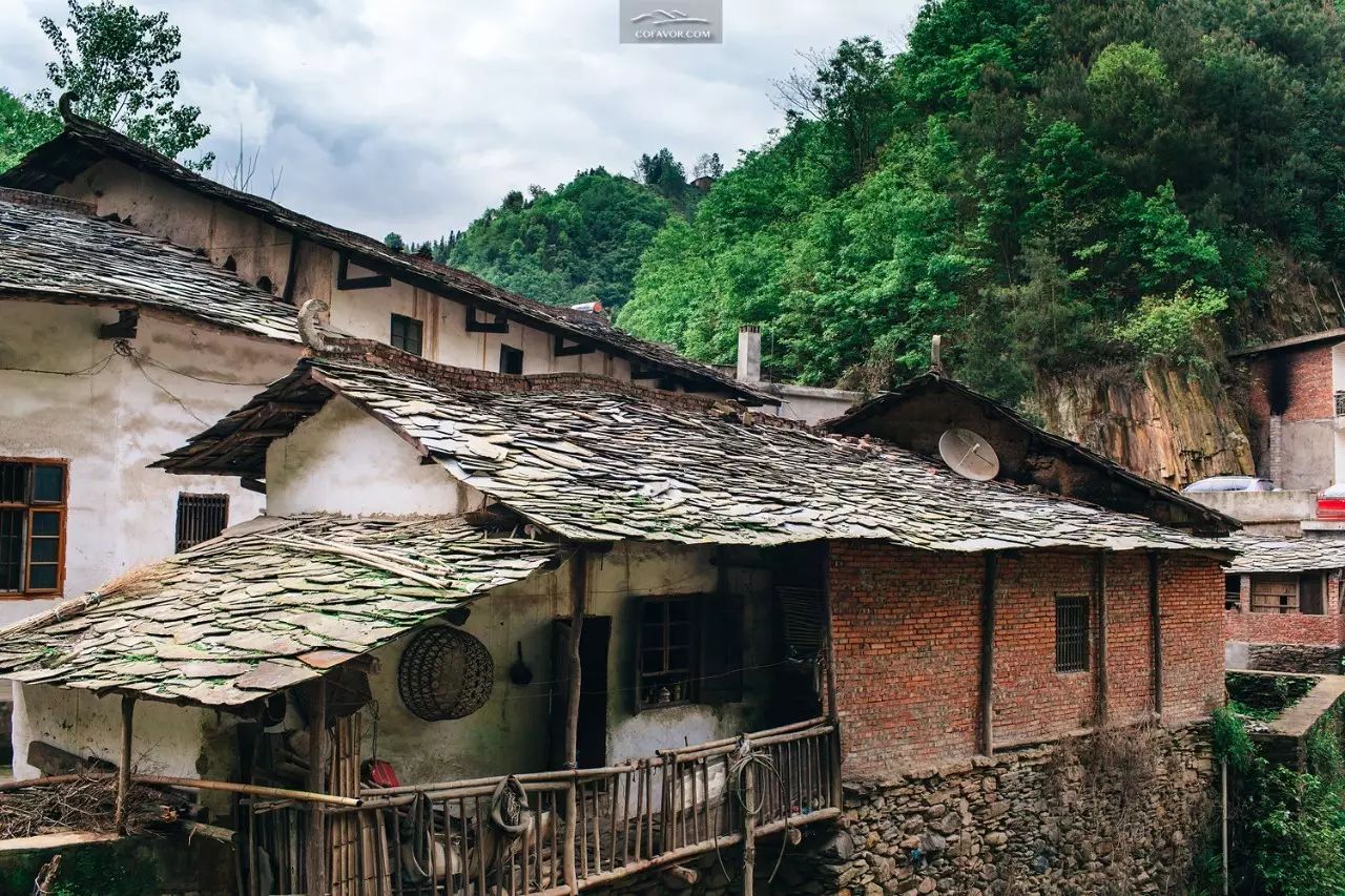 西安卖紫阳富硒茶的地方（陕西安康紫阳富硒茶的名气）-硒宝网