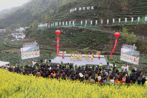 岚皋富硒茶在哪买的好?。ǜ晃枰抖嗌偾唤铮?硒宝网