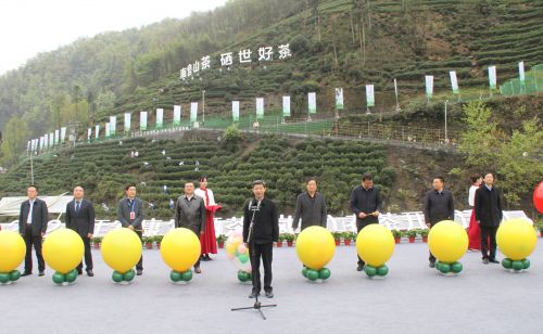 岚皋富硒茶在哪买的好?。ǜ晃枰抖嗌偾唤铮?硒宝网