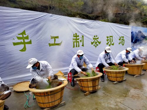 岚皋富硒茶在哪买的好啊（富硒茶叶多少钱一斤）-硒宝网