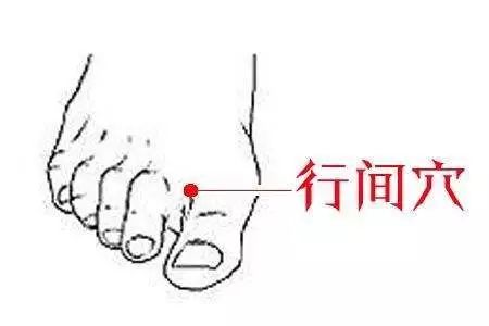 紫阳富硒茶的功能与主治（主治茶紫阳富硒功能是什么）-硒宝网