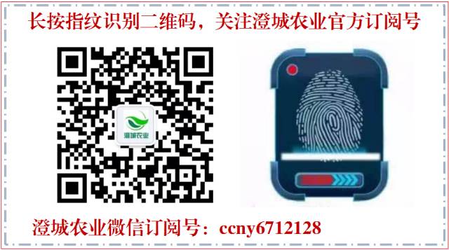 紫阳富硒茶专卖店 西安(紫阳富硒茶厂)-硒宝网