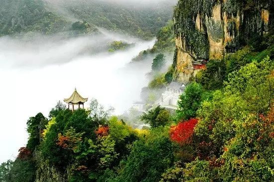 陕西安康南方美食富硒茶(安康富硒茶最古老的茶)-硒宝网