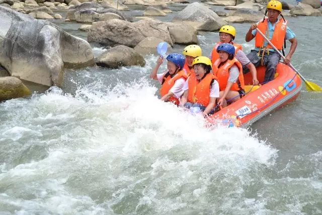 陕西安康南方美食富硒茶(安康富硒茶最古老的茶)-硒宝网