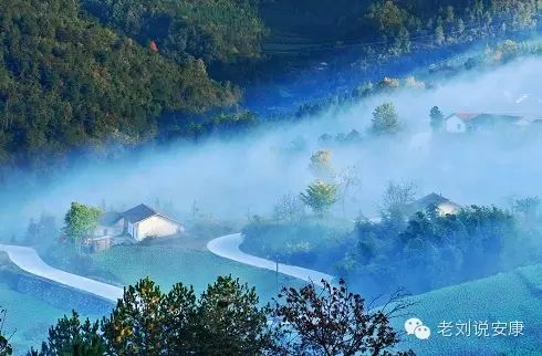 陕西安康南方美食富硒茶(安康富硒茶最古老的茶)-硒宝网