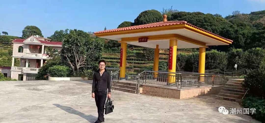 明前陕西紫阳富硒茶价格(陕西紫阳县茶)-硒宝网