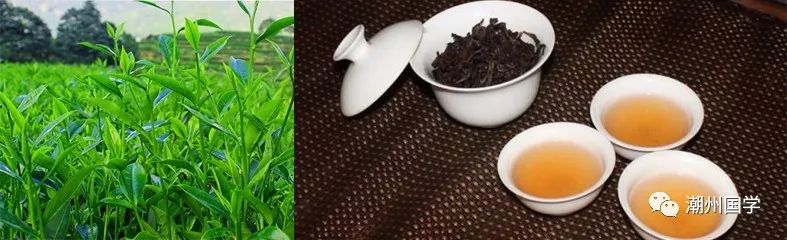 明前陕西紫阳富硒茶价格(陕西紫阳县茶)-硒宝网