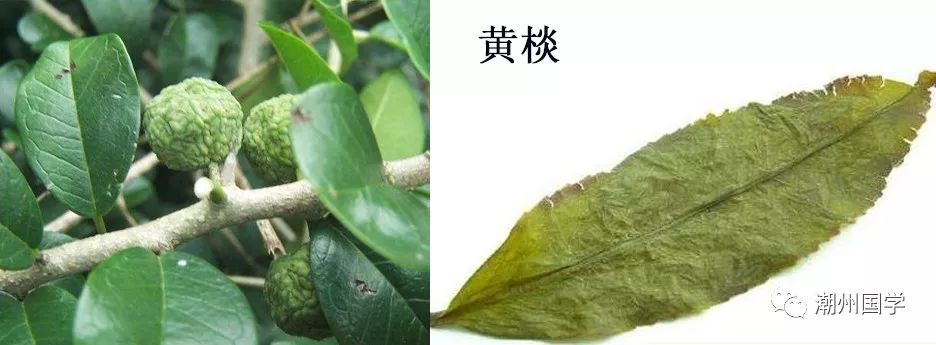 明前陕西紫阳富硒茶价格(陕西紫阳县茶)-硒宝网