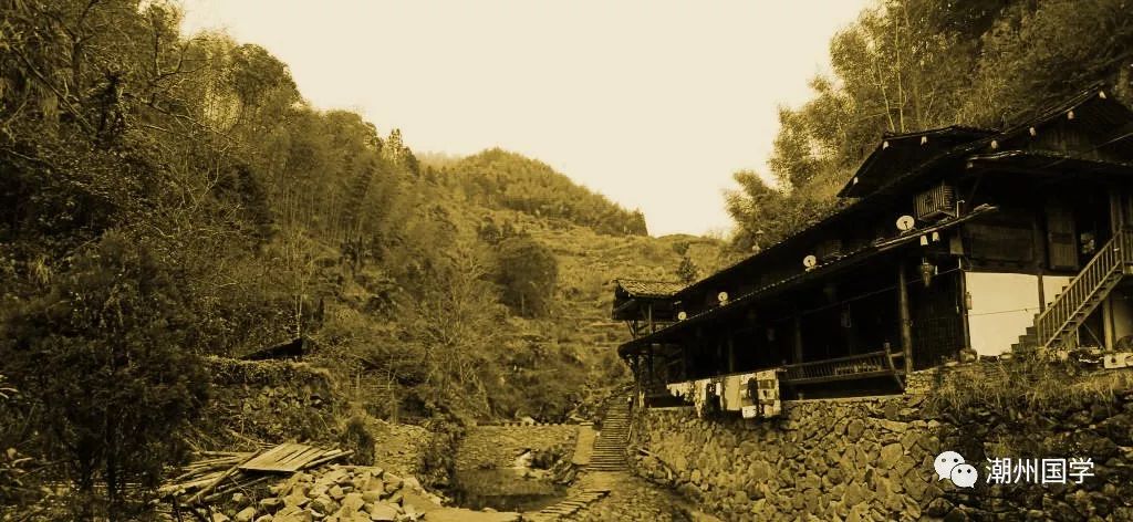 明前陕西紫阳富硒茶价格(陕西紫阳县茶)-硒宝网