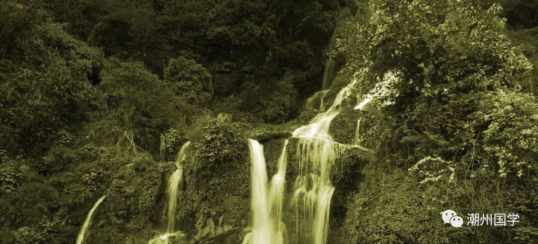 明前陕西紫阳富硒茶价格(陕西紫阳县茶)-硒宝网