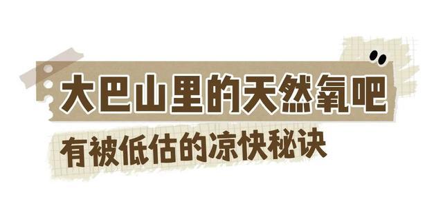 富硒茶是哪些植物的叶子(叶子茶植物富硒是什么植物)-硒宝网