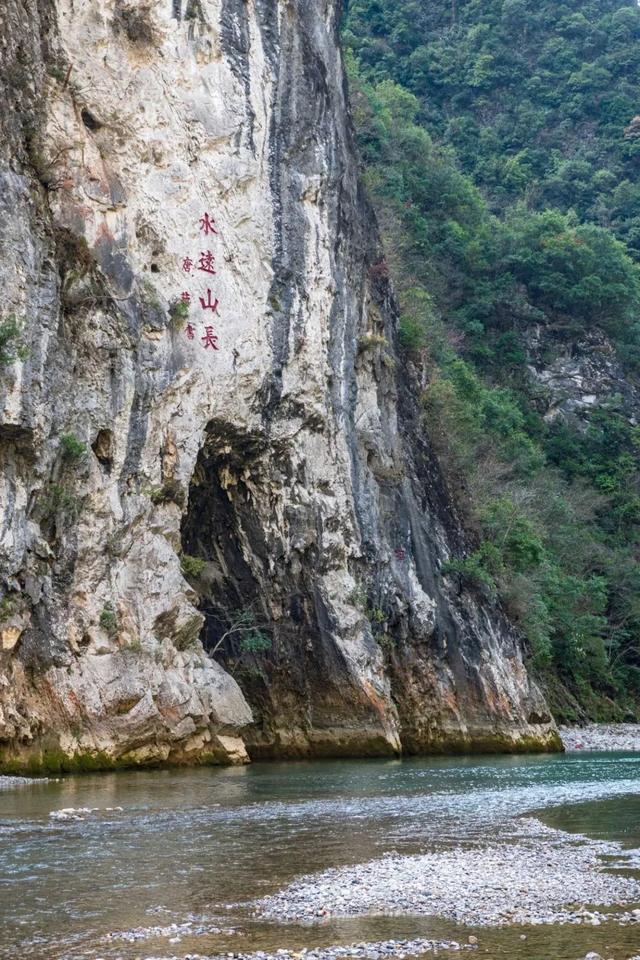 富硒茶是哪些植物的叶子(叶子茶植物富硒是什么植物)-硒宝网