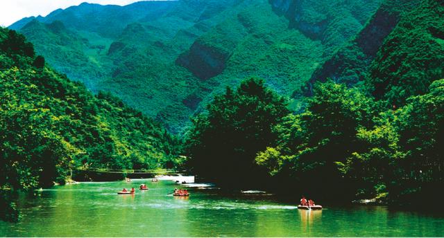 富硒茶是哪些植物的叶子(叶子茶植物富硒是什么植物)-硒宝网