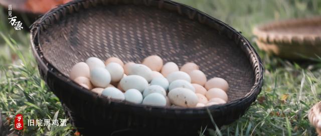 富硒茶是哪些植物的叶子(叶子茶植物富硒是什么植物)-硒宝网