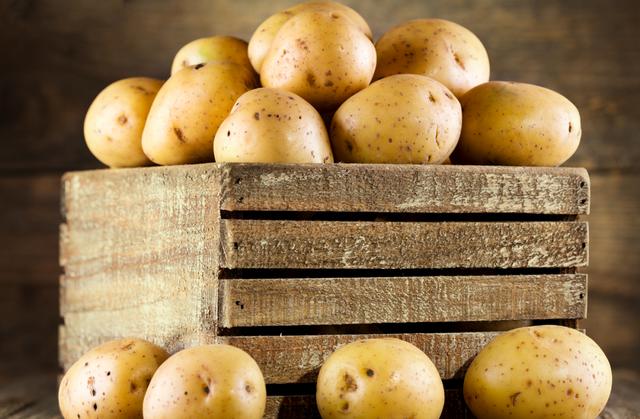 富硒茶是哪些植物的叶子(叶子茶植物富硒是什么植物)-硒宝网