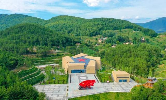 富硒茶是哪些植物的叶子(叶子茶植物富硒是什么植物)-硒宝网