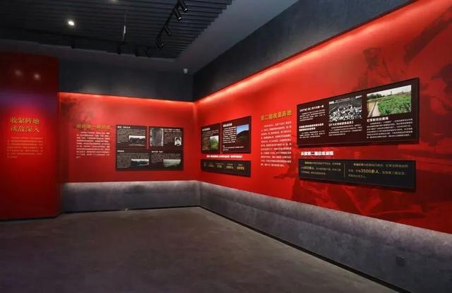 富硒茶是哪些植物的叶子(叶子茶植物富硒是什么植物)-硒宝网