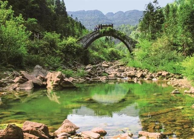 富硒茶是哪些植物的叶子(叶子茶植物富硒是什么植物)-硒宝网
