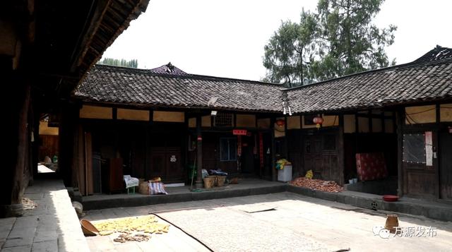 富硒茶是哪些植物的叶子(叶子茶植物富硒是什么植物)-硒宝网