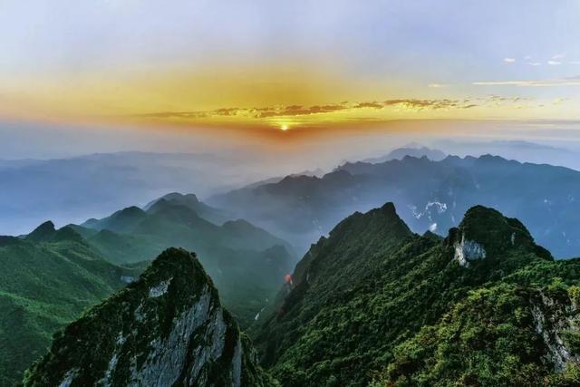 富硒茶是哪些植物的叶子(叶子茶植物富硒是什么植物)-硒宝网