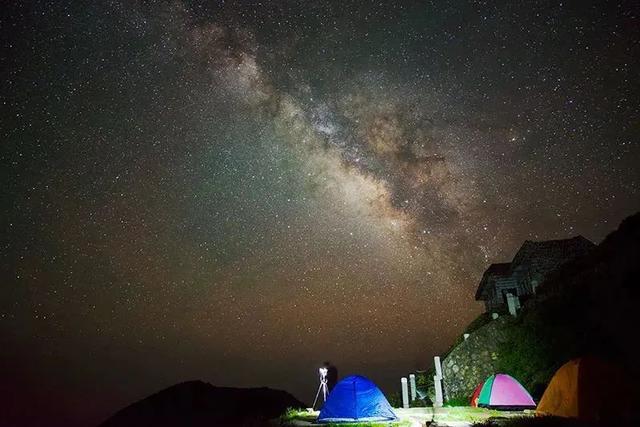 富硒茶是哪些植物的叶子(叶子茶植物富硒是什么植物)-硒宝网