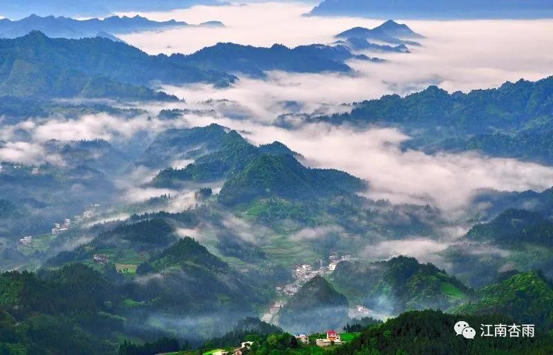 玉露和富硒茶哪个好喝点(恩施玉露茶和富硒茶一样吗)-硒宝网