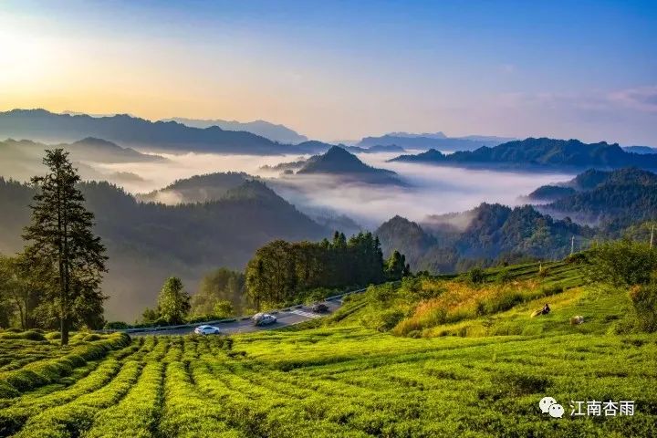 玉露和富硒茶哪个好喝点(恩施玉露茶和富硒茶一样吗)-硒宝网