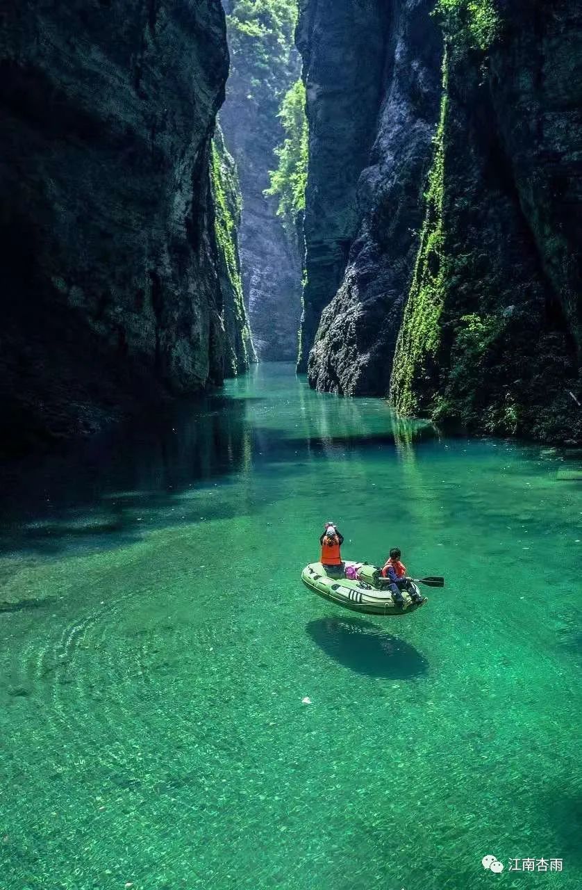 玉露和富硒茶哪个好喝点(恩施玉露茶和富硒茶一样吗)-硒宝网