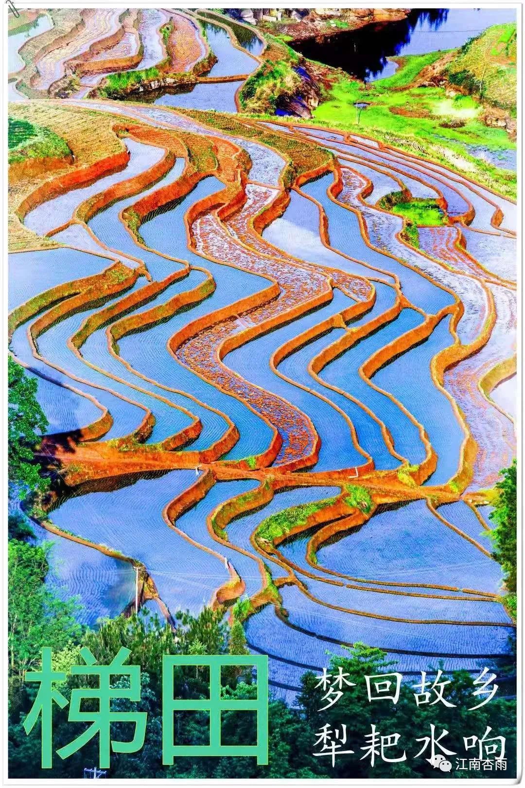 玉露和富硒茶哪个好喝点(恩施玉露茶和富硒茶一样吗)-硒宝网