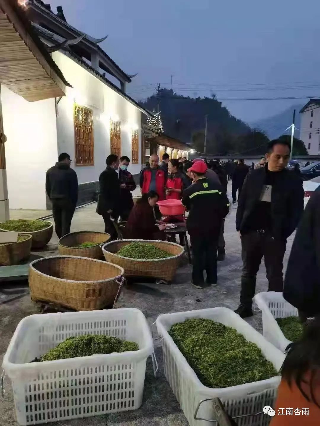 玉露和富硒茶哪个好喝点(恩施玉露茶和富硒茶一样吗)-硒宝网