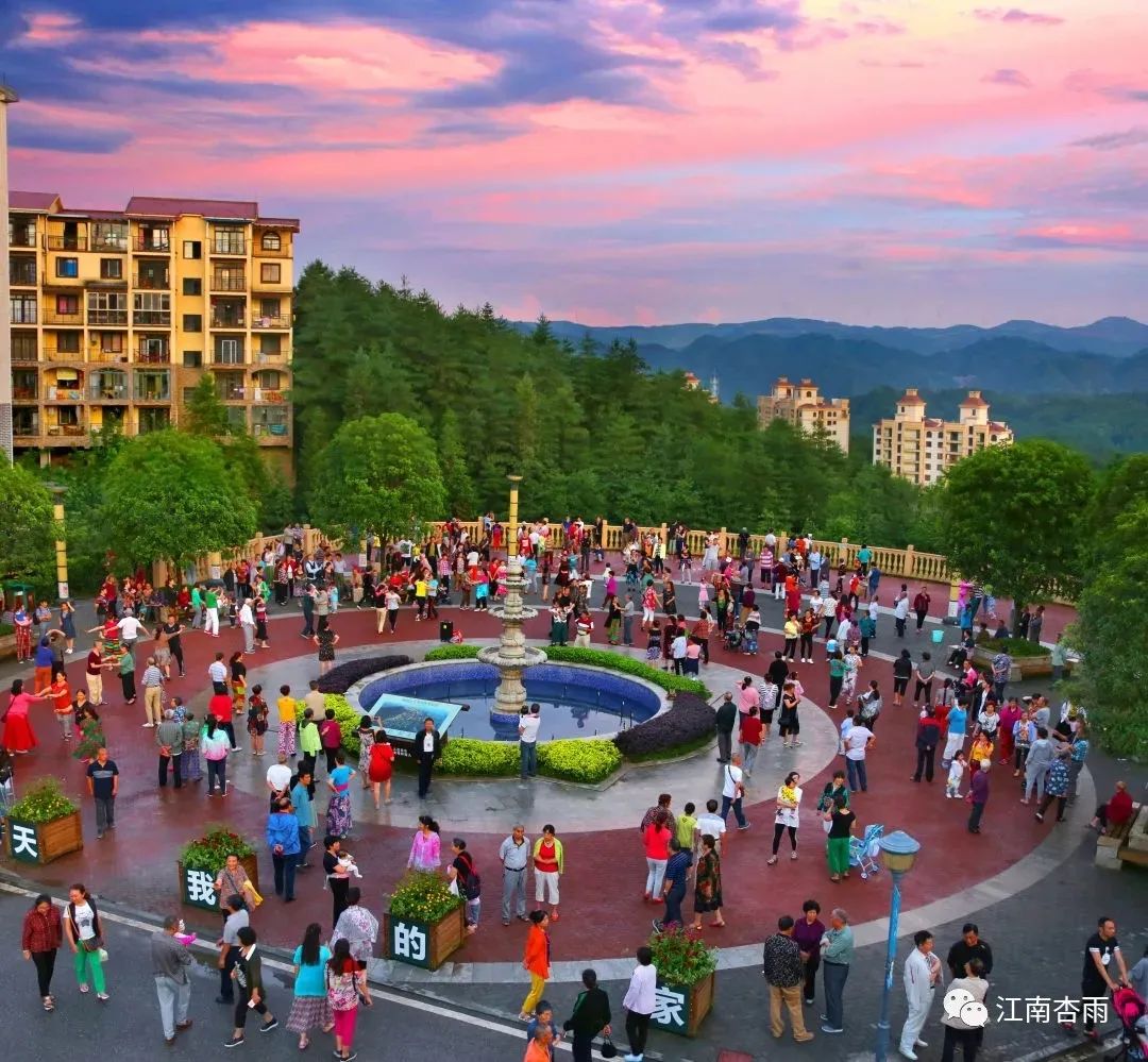 玉露和富硒茶哪个好喝点(恩施玉露茶和富硒茶一样吗)-硒宝网