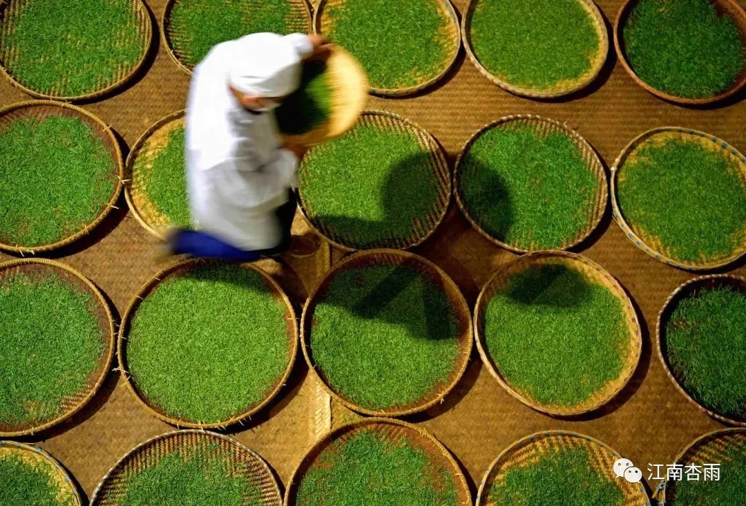 玉露和富硒茶哪个好喝点(恩施玉露茶和富硒茶一样吗)-硒宝网