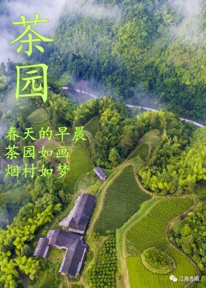 玉露和富硒茶哪个好喝点(恩施玉露茶和富硒茶一样吗)-硒宝网