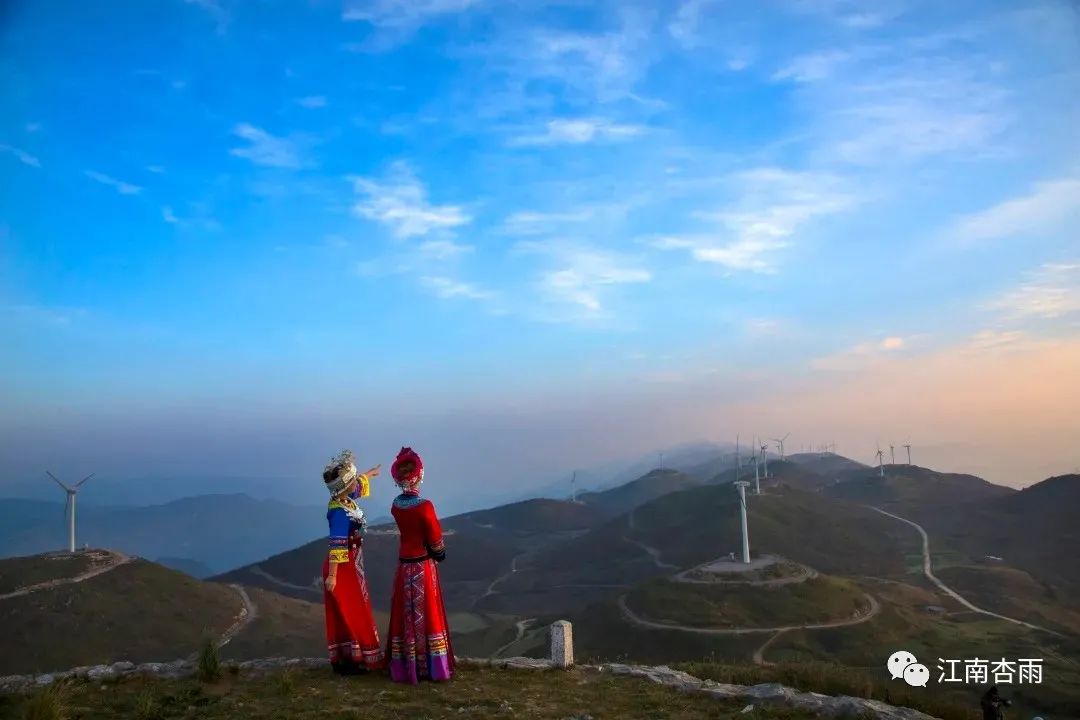 玉露和富硒茶哪个好喝点(恩施玉露茶和富硒茶一样吗)-硒宝网