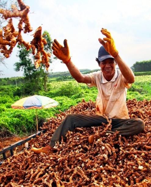中国哪个地方产富硒茶好(中国富硒茶之乡)-硒宝网