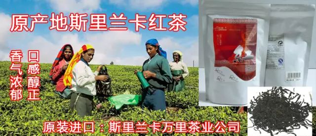 富硒茶什么原料最好喝呢（喝富硒茶能补硒吗）-硒宝网