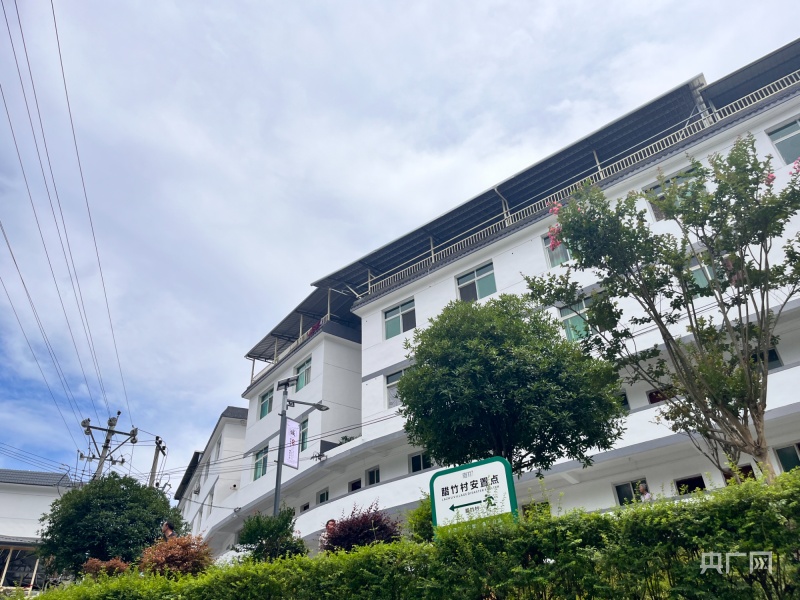 陕西紫阳富硒茶是绿茶吗（陕西紫阳富硒茶品牌）-硒宝网