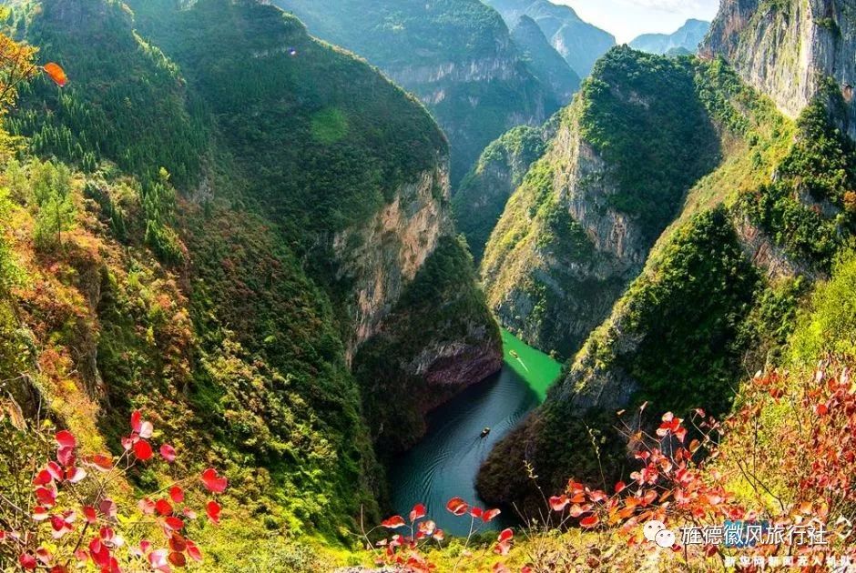 恩施富硒茶是什么茶精华(恩施富硒茶文化的内涵有)-硒宝网